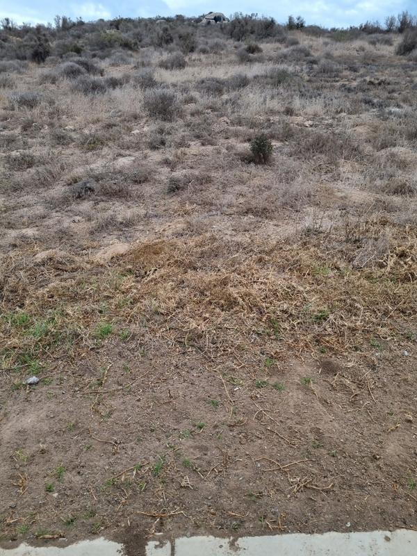 0 Bedroom Property for Sale in Saldanha Rural Western Cape